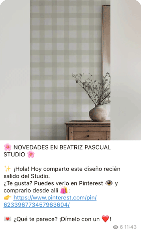 ejemplo de pin publicado en el canal de Telegram de Beatriz Pascual Studio
